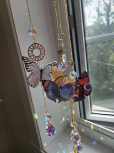 Papillons réaliste