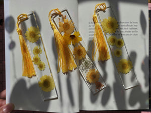 Signets fleurs jaune