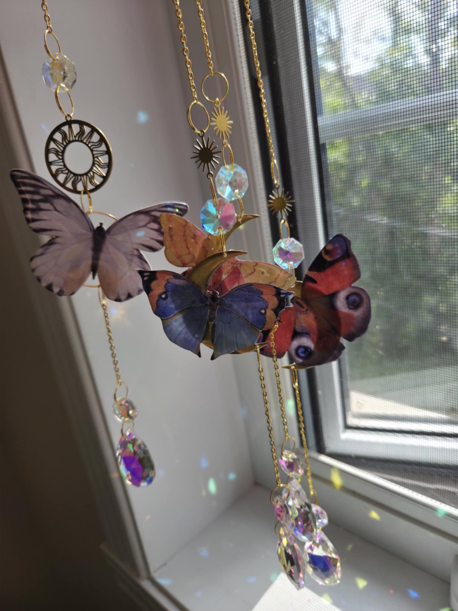 Papillons réaliste