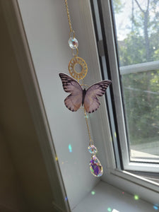 Papillons réaliste