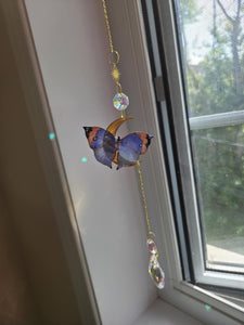 Papillons réaliste