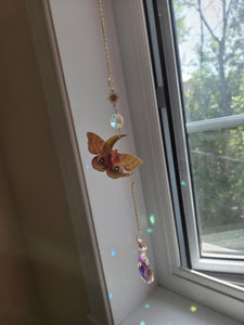Papillons réaliste