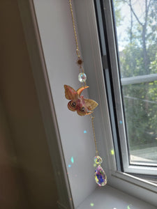 Papillons réaliste