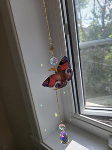 Papillons réaliste