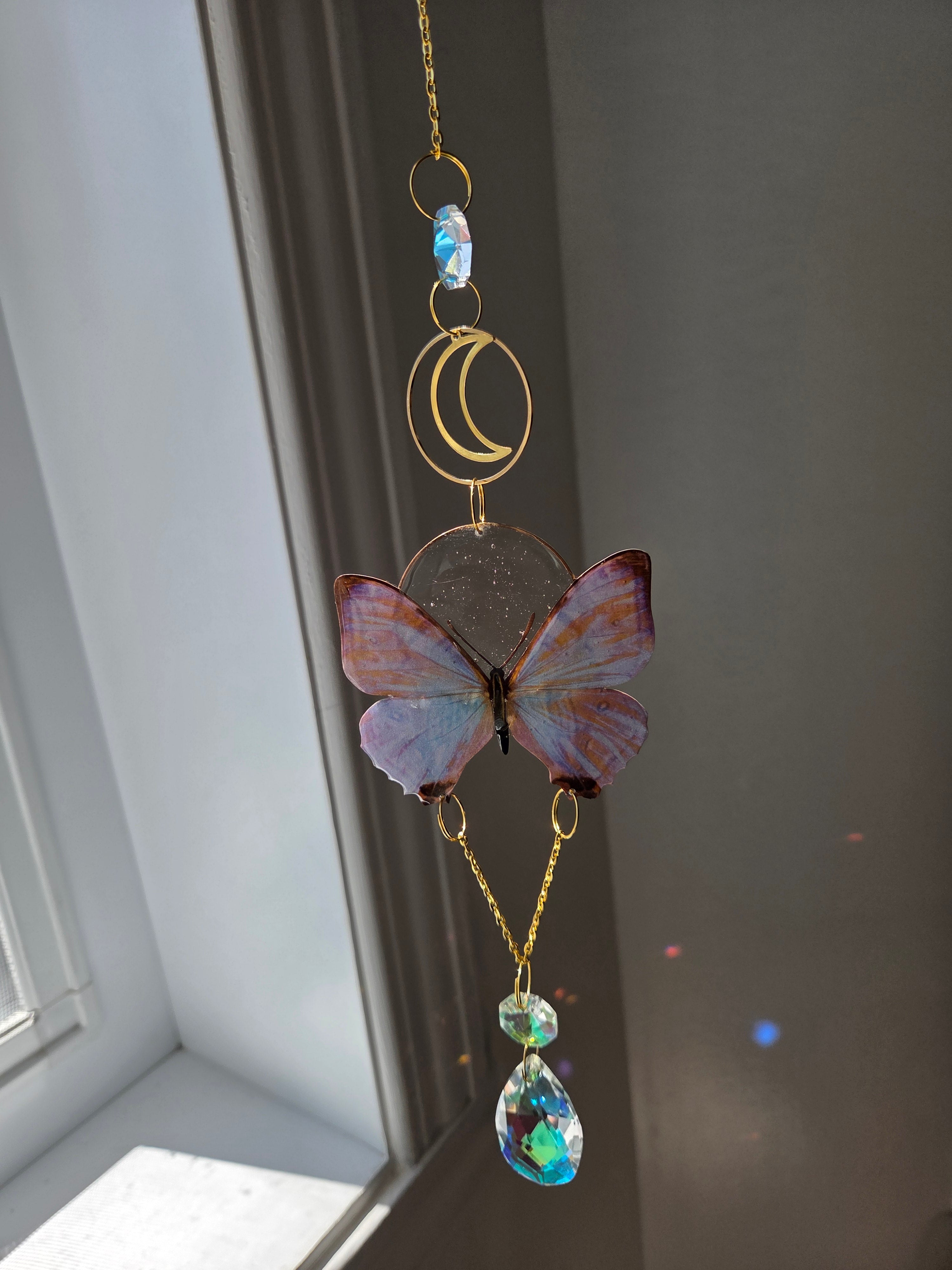 Papillons de nuit mystique