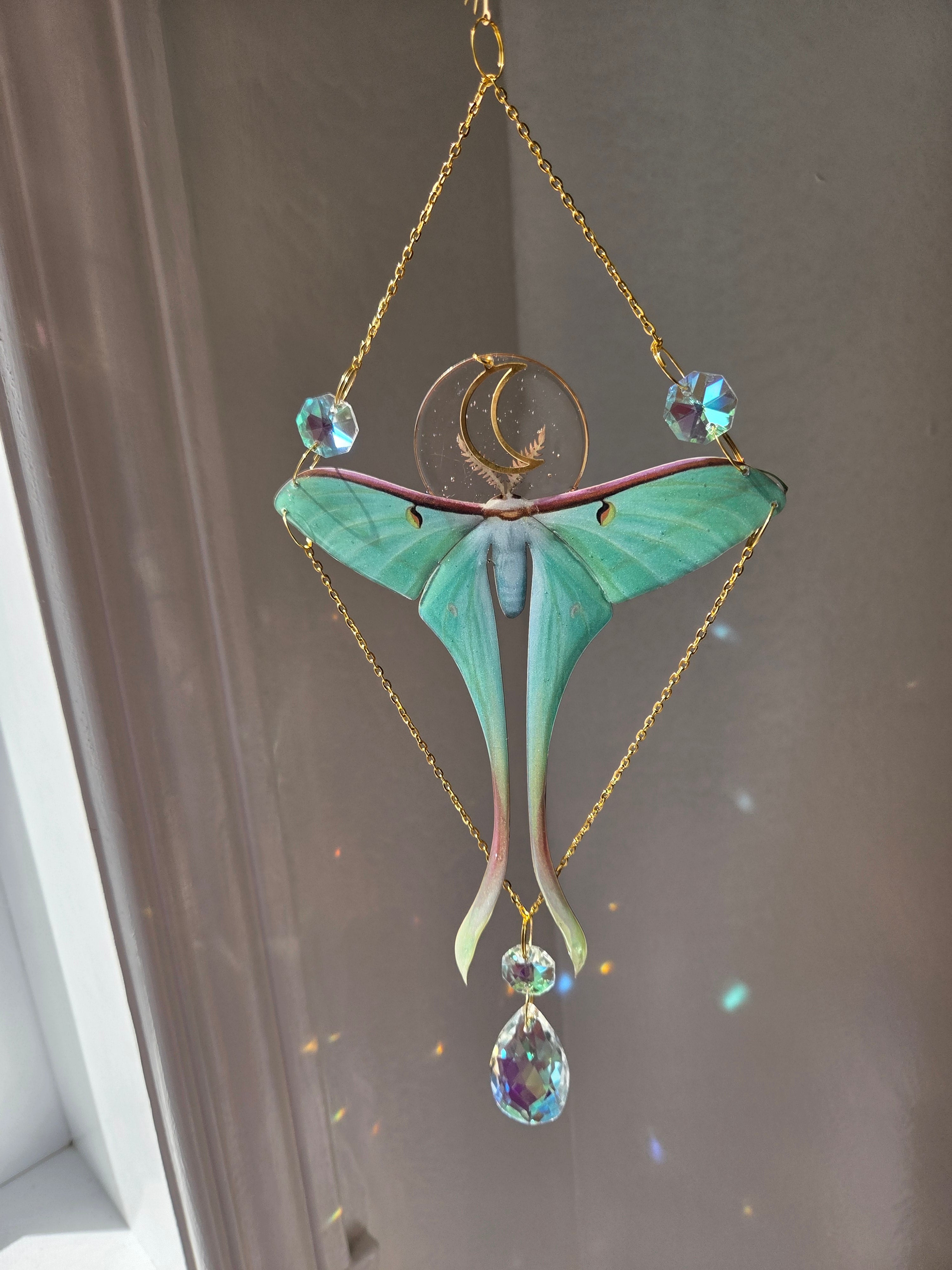 Papillons de nuit mystique