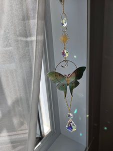 Luna moth queen gold