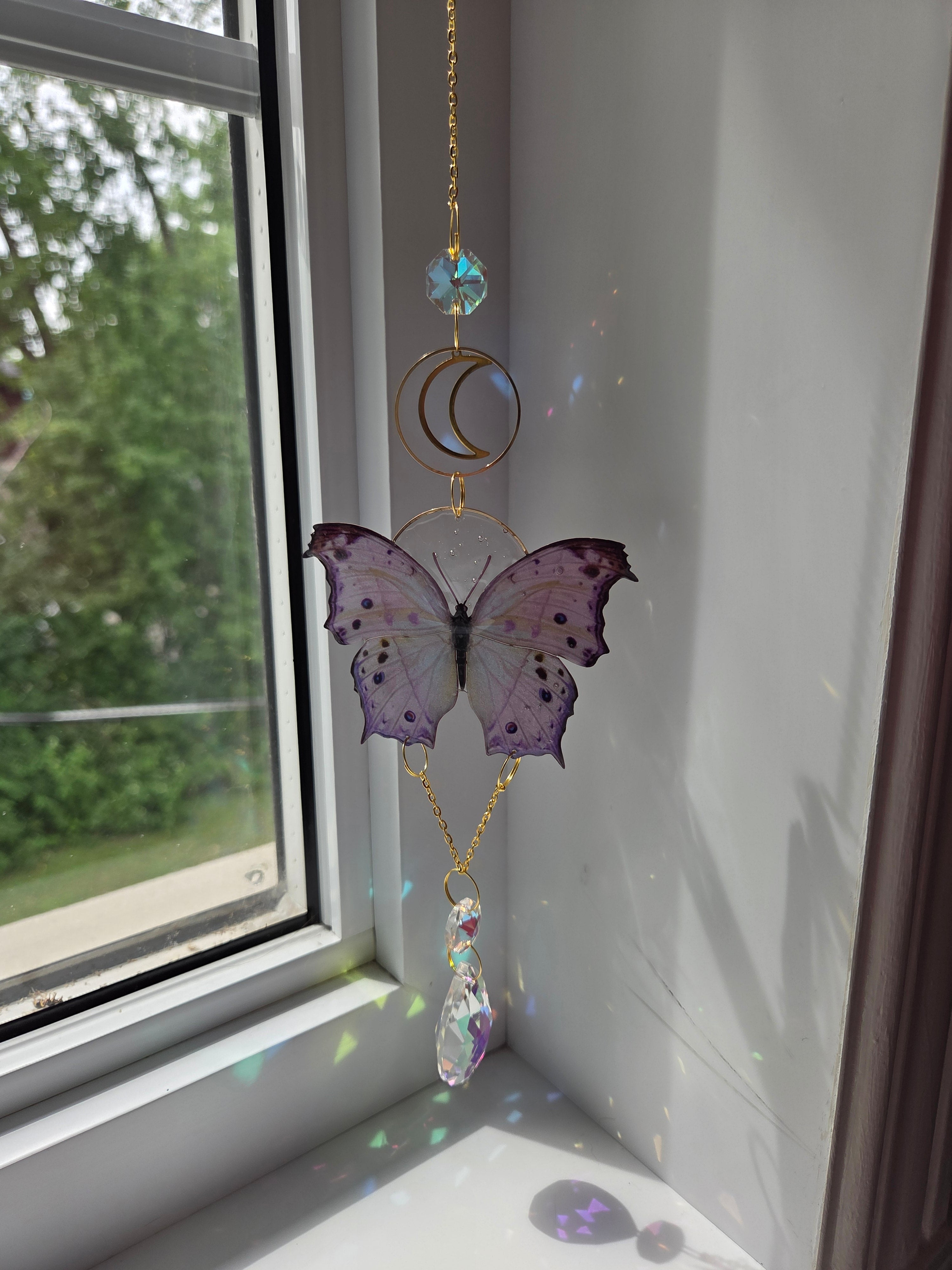 Papillons de nuit mystique