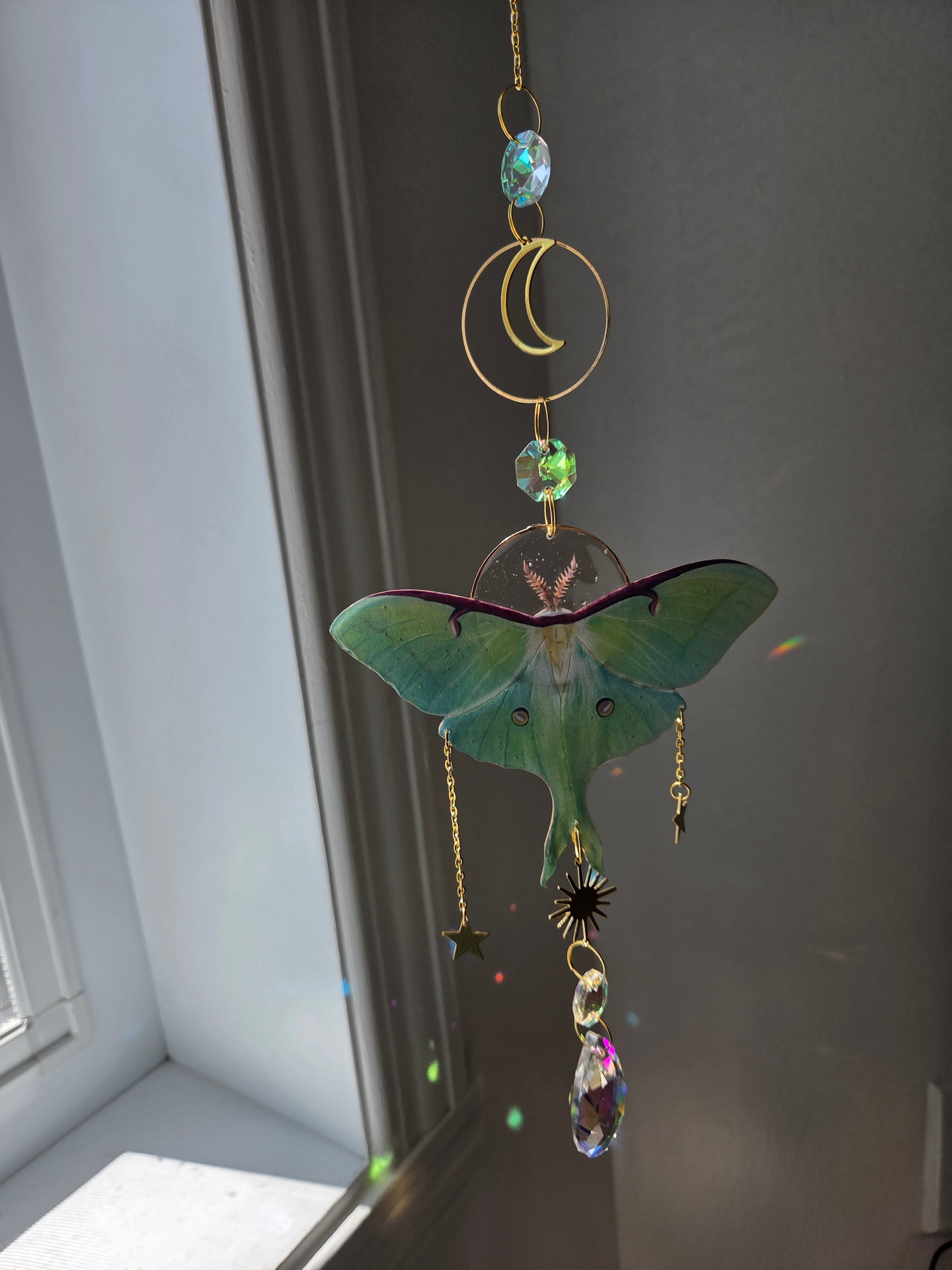 Papillons de nuit mystique