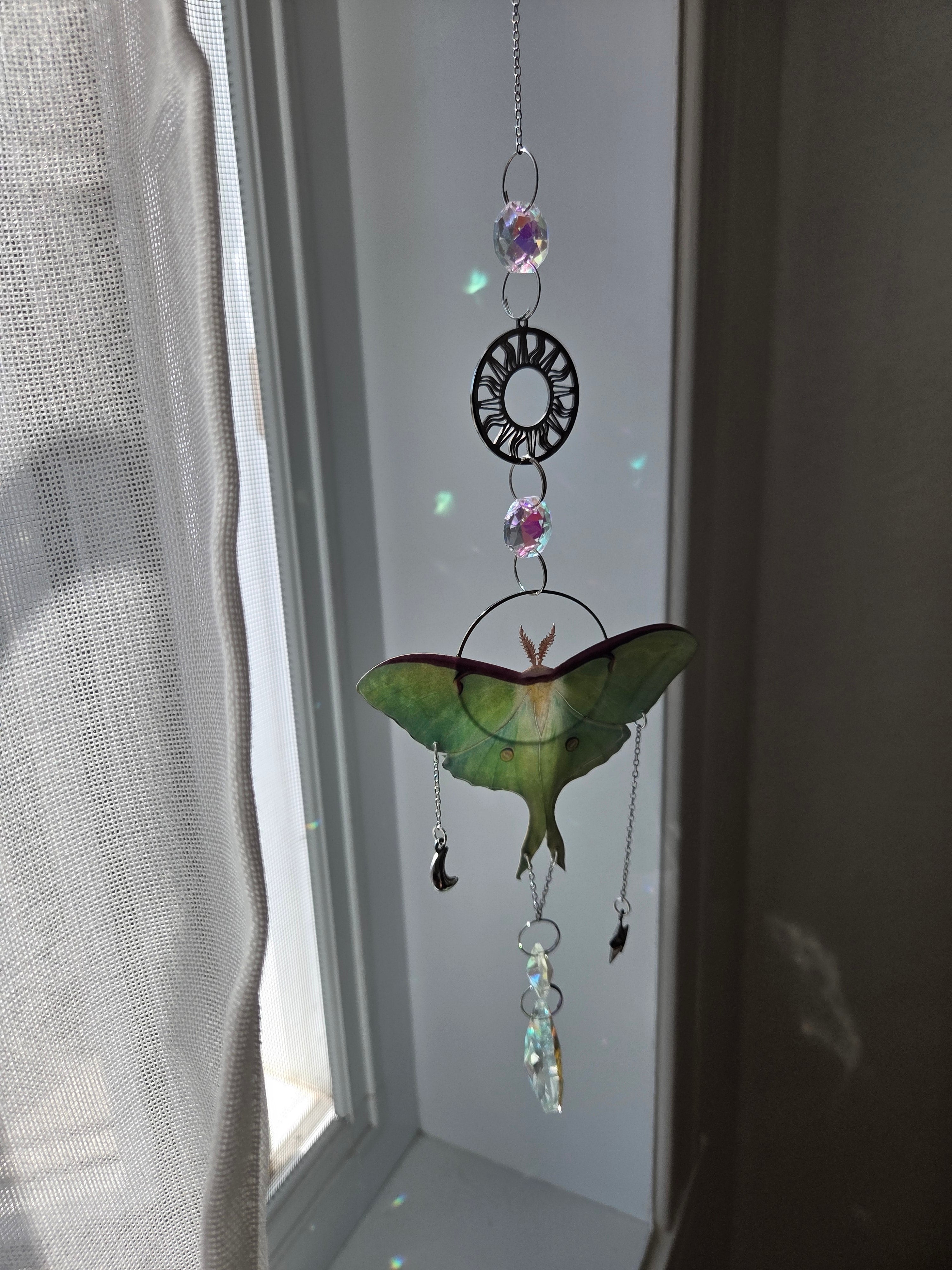 Luna moth silver dream