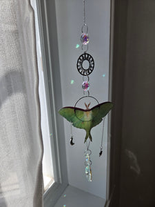 Luna moth silver dream