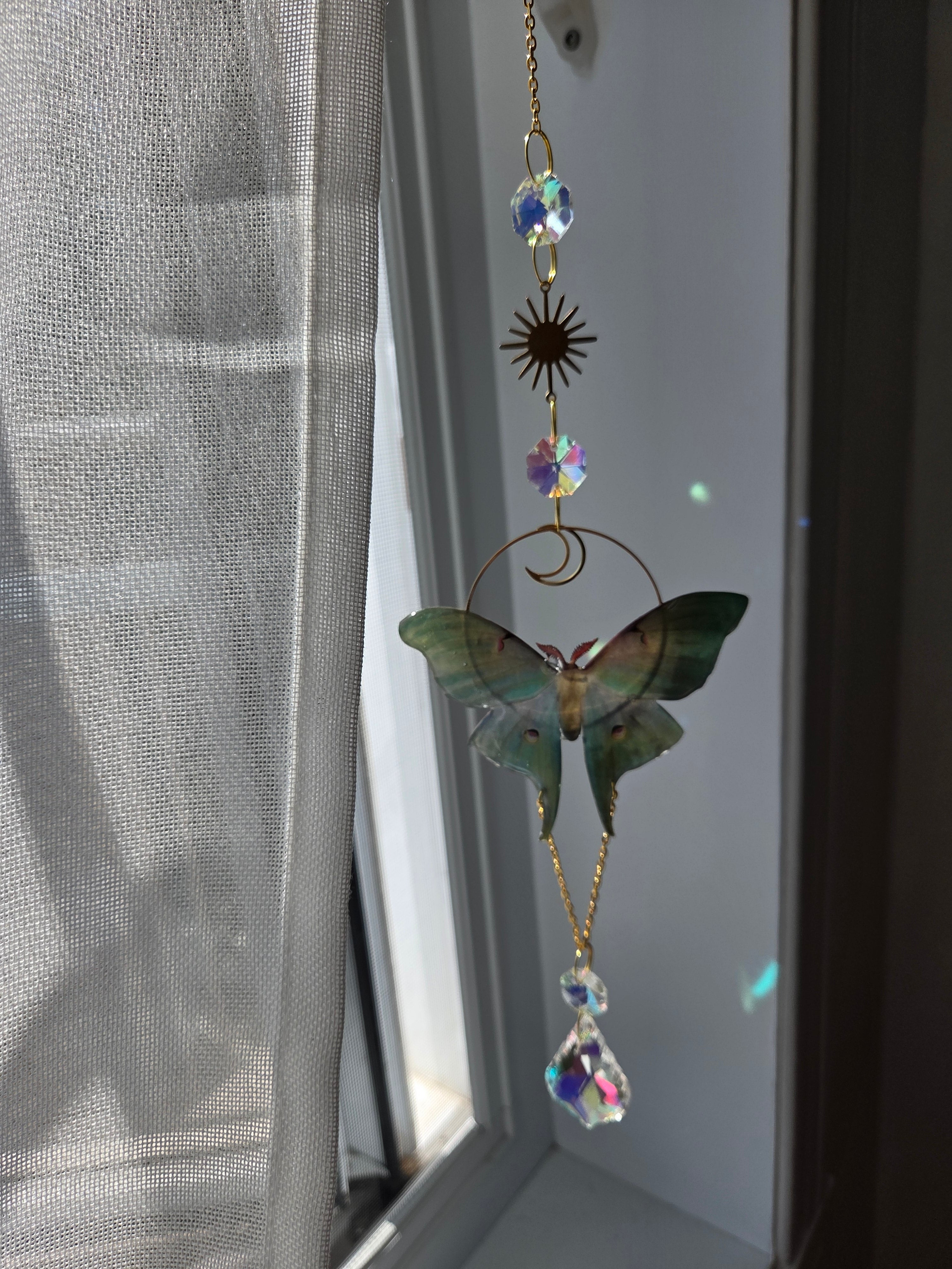 Luna moth queen gold
