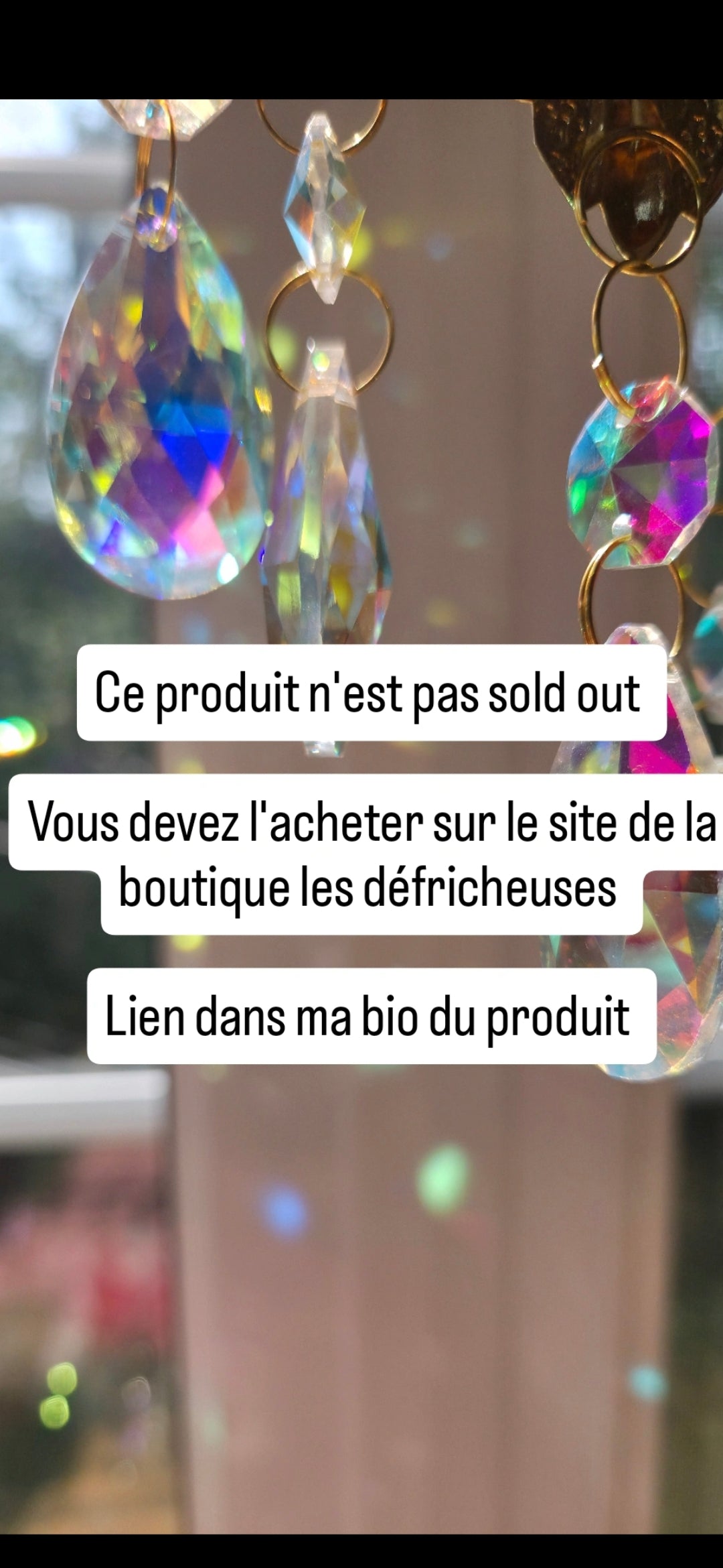 Atelier du 9 novembre 2025 (A acheter sur le site des defricheuses) LIEN DANS LA BIO