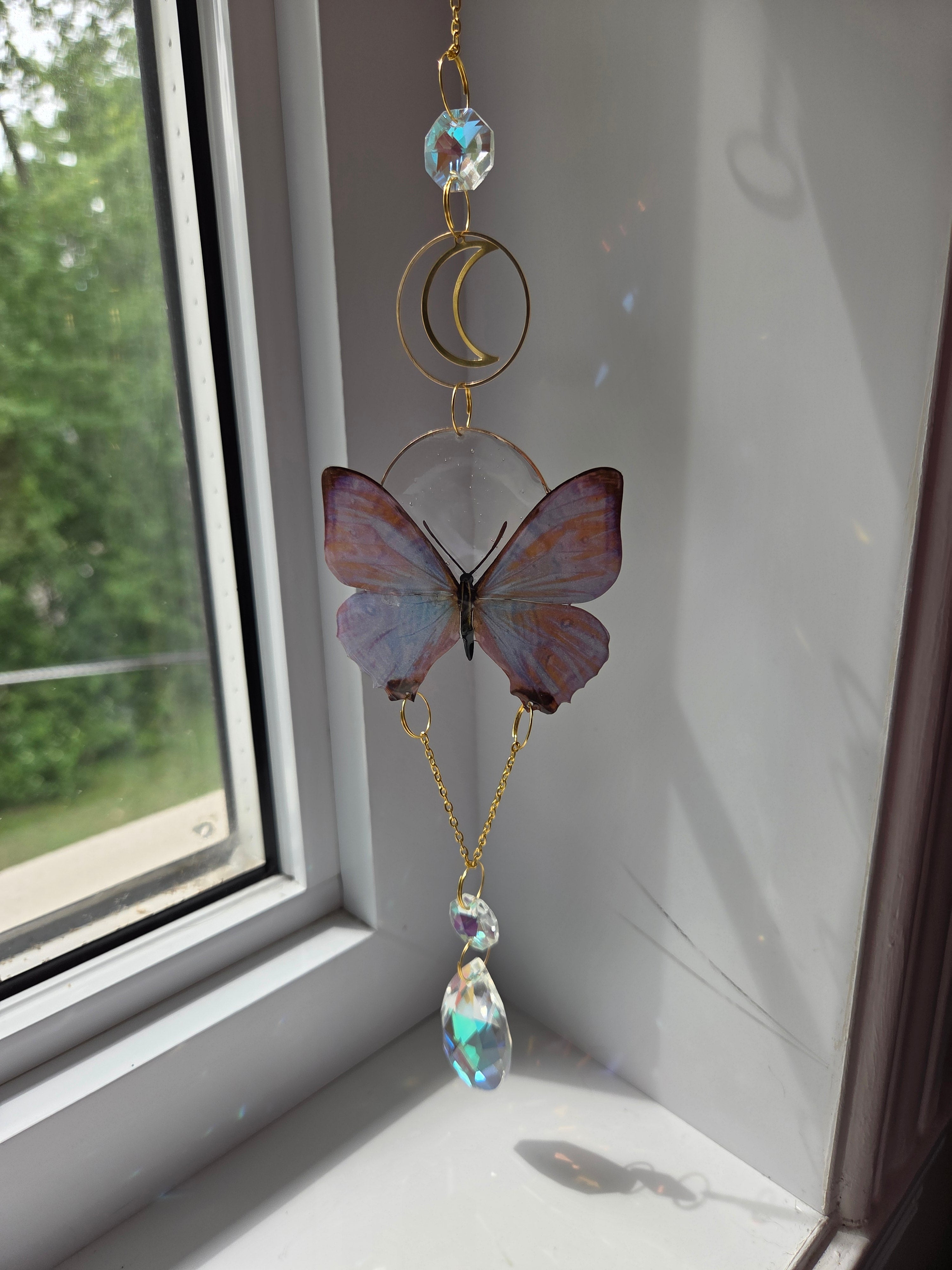 Papillons de nuit mystique