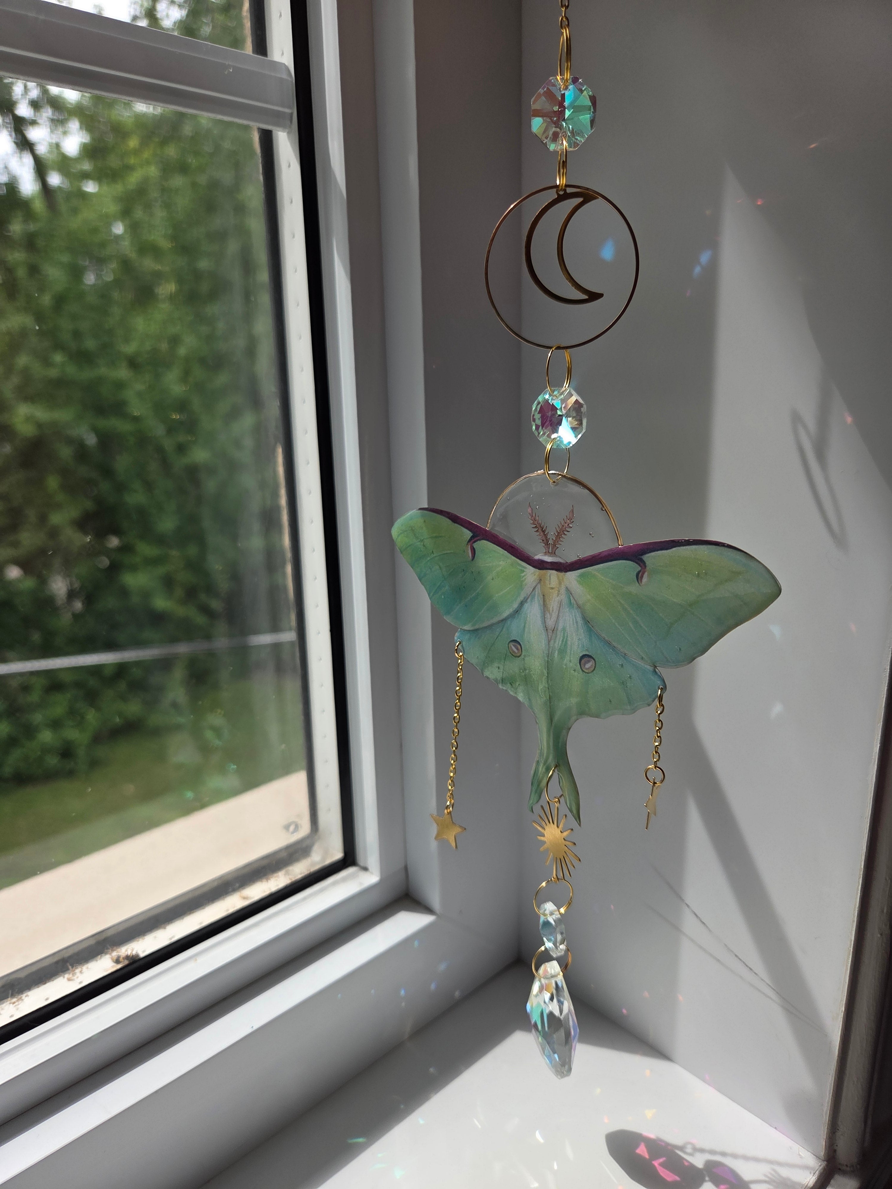 Papillons de nuit mystique