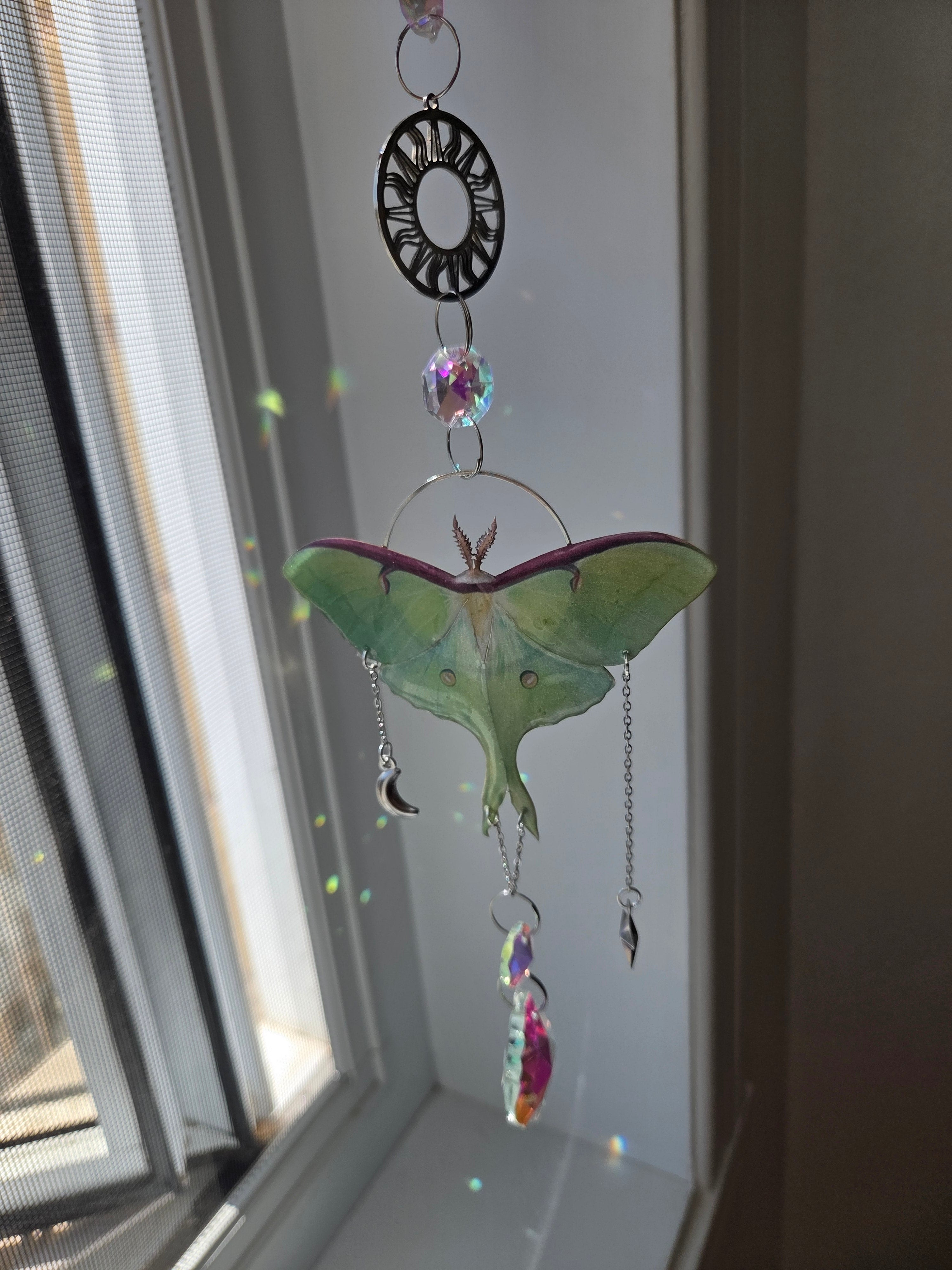 Luna moth silver dream