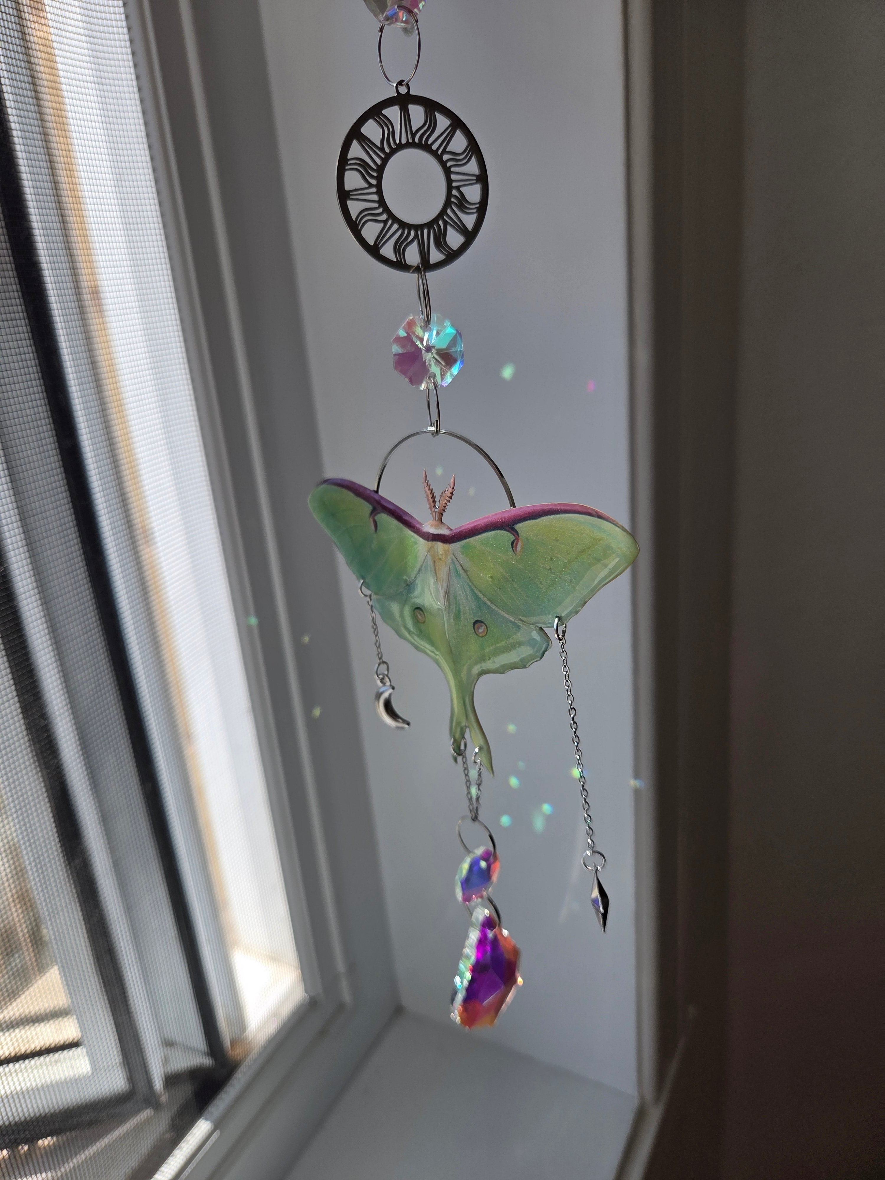 Luna moth silver dream