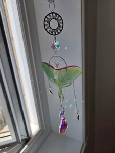 Luna moth silver dream