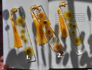 Signets fleurs jaune